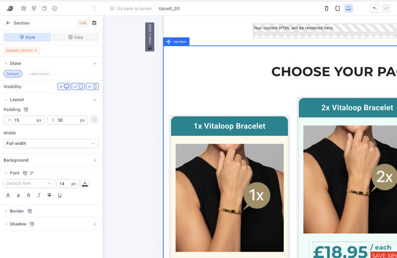 How to hide a section in Funnelish and show it after a few minutes or seconds