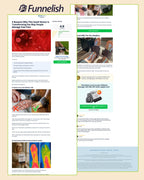 10 Most Selling Funnelish Templates Pack